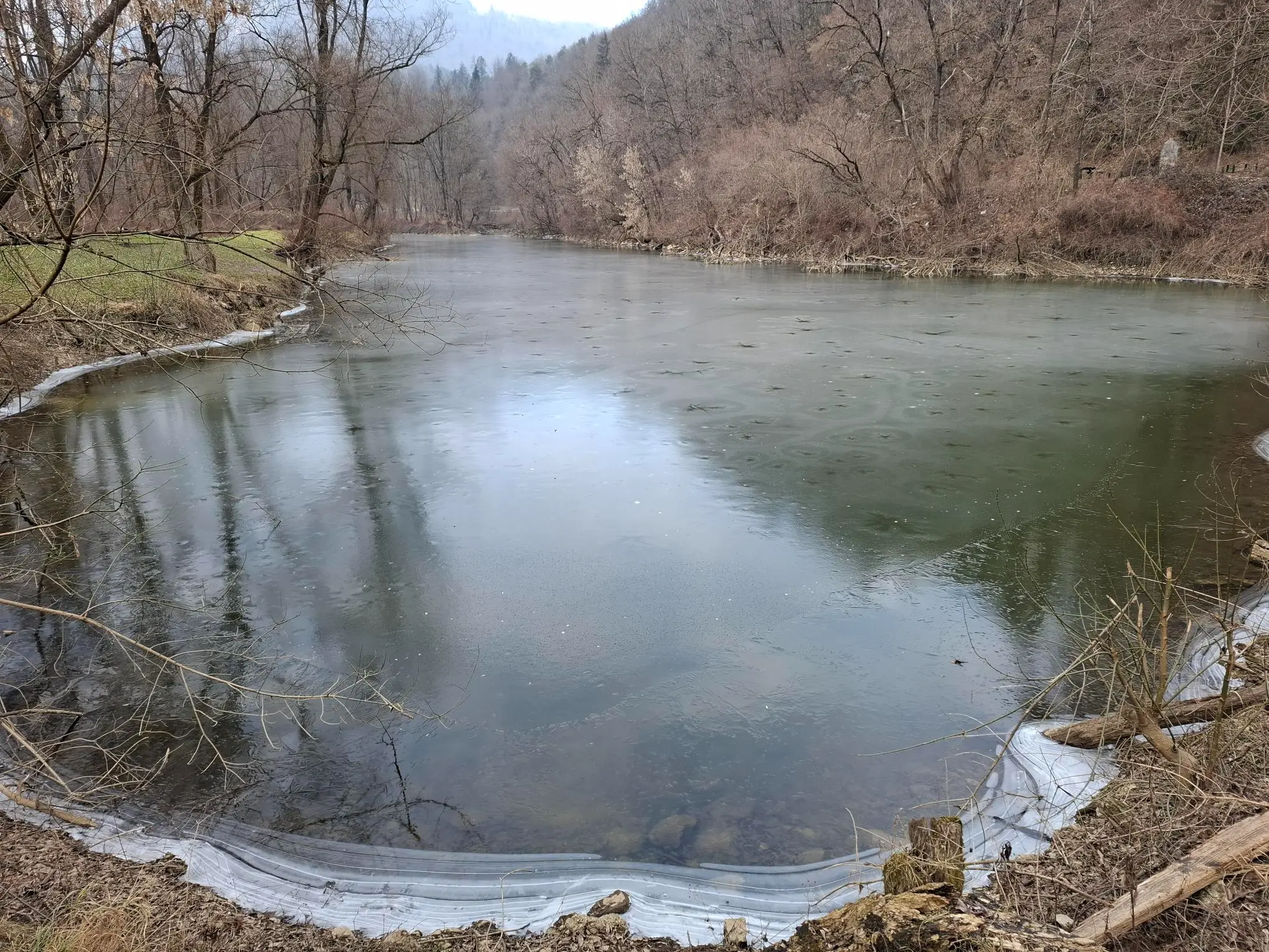 Mrtvica Ribče – Sava