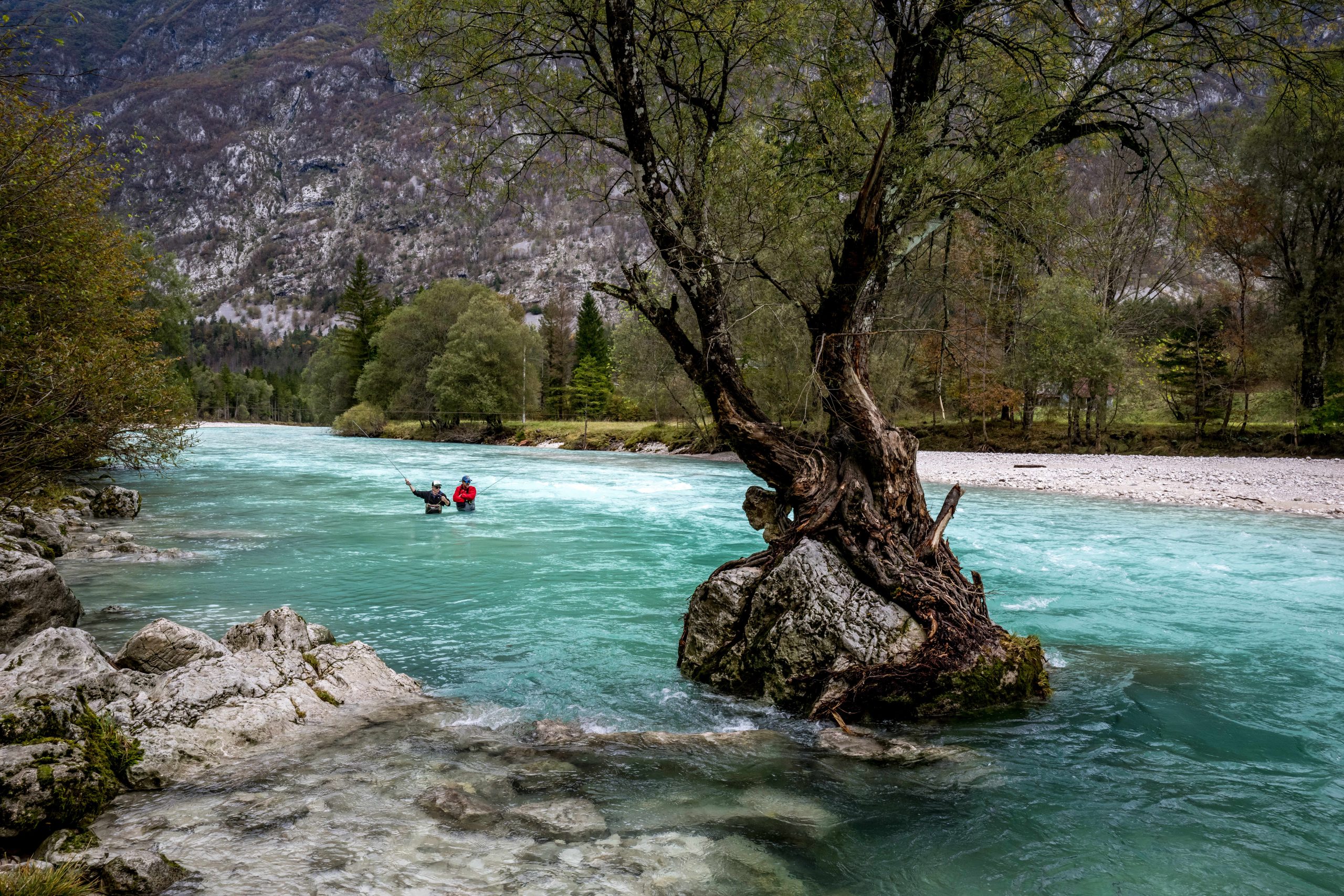 Reka Soča, Lepena in Koritnica