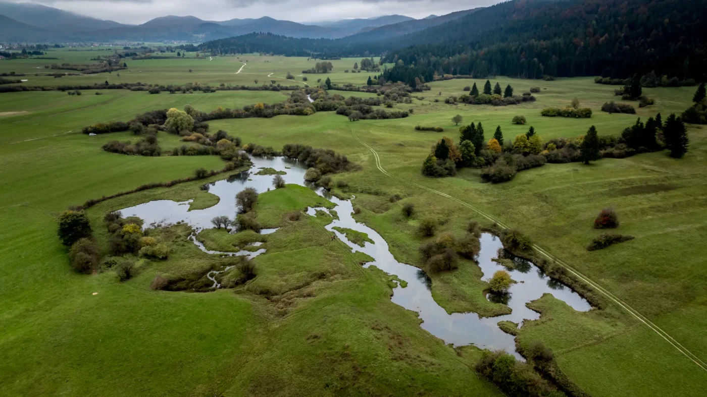 Reka Unica – ciprinidni del