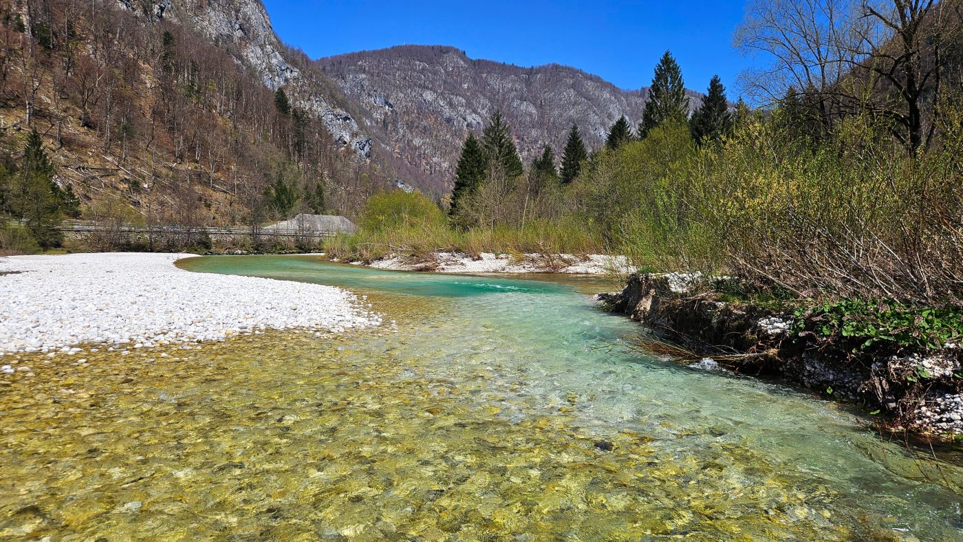 Reka Sava Bohinjka