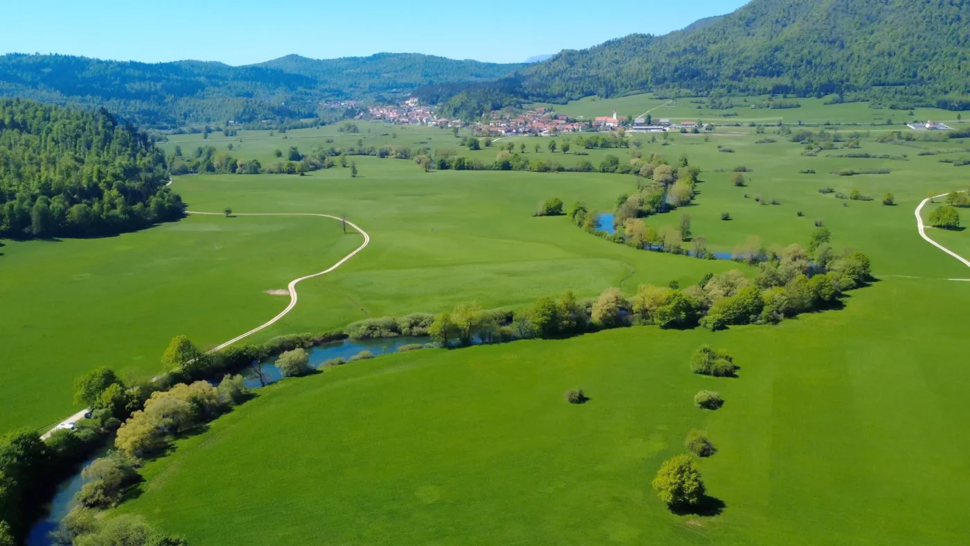 Reka Unica – salmonidni del