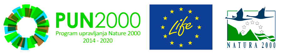 PUN2000_vsi