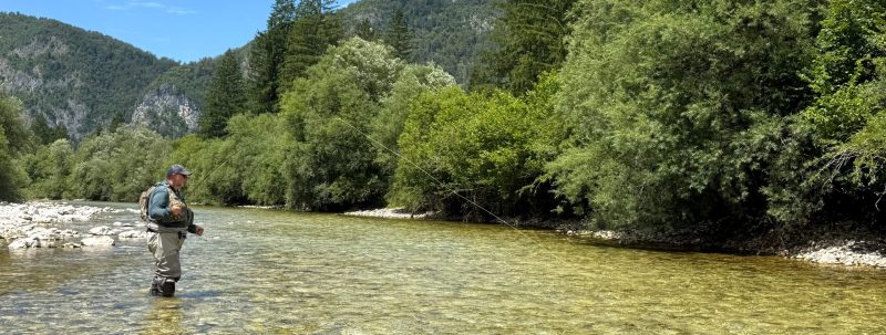 Sava Bohinjka ribolov