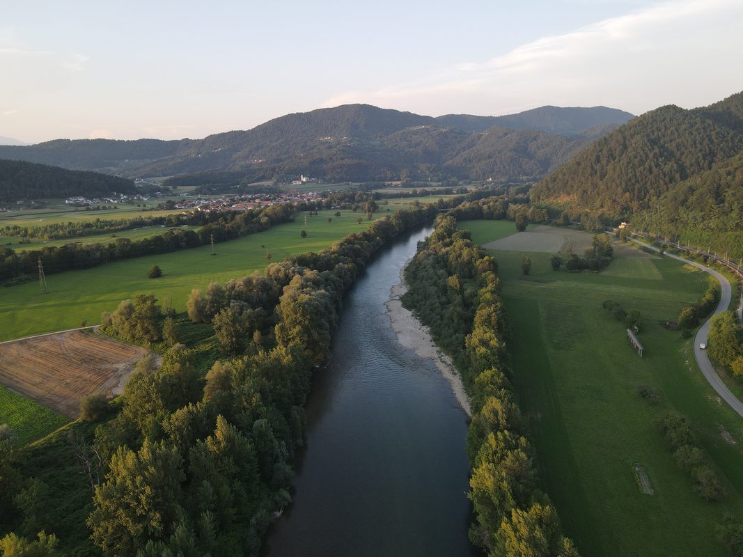 Dolgoročno ohranjanje in upravljanje populacije sulca na Savi