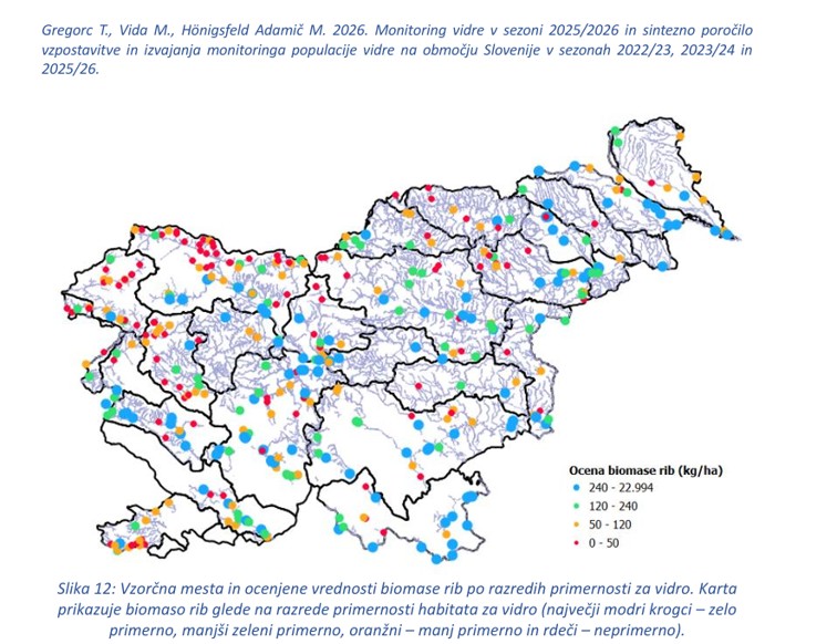 Ocena biomase rib, monitoring vidre v Sloveniji.